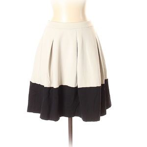 NWOT Express // Color Block Skirt